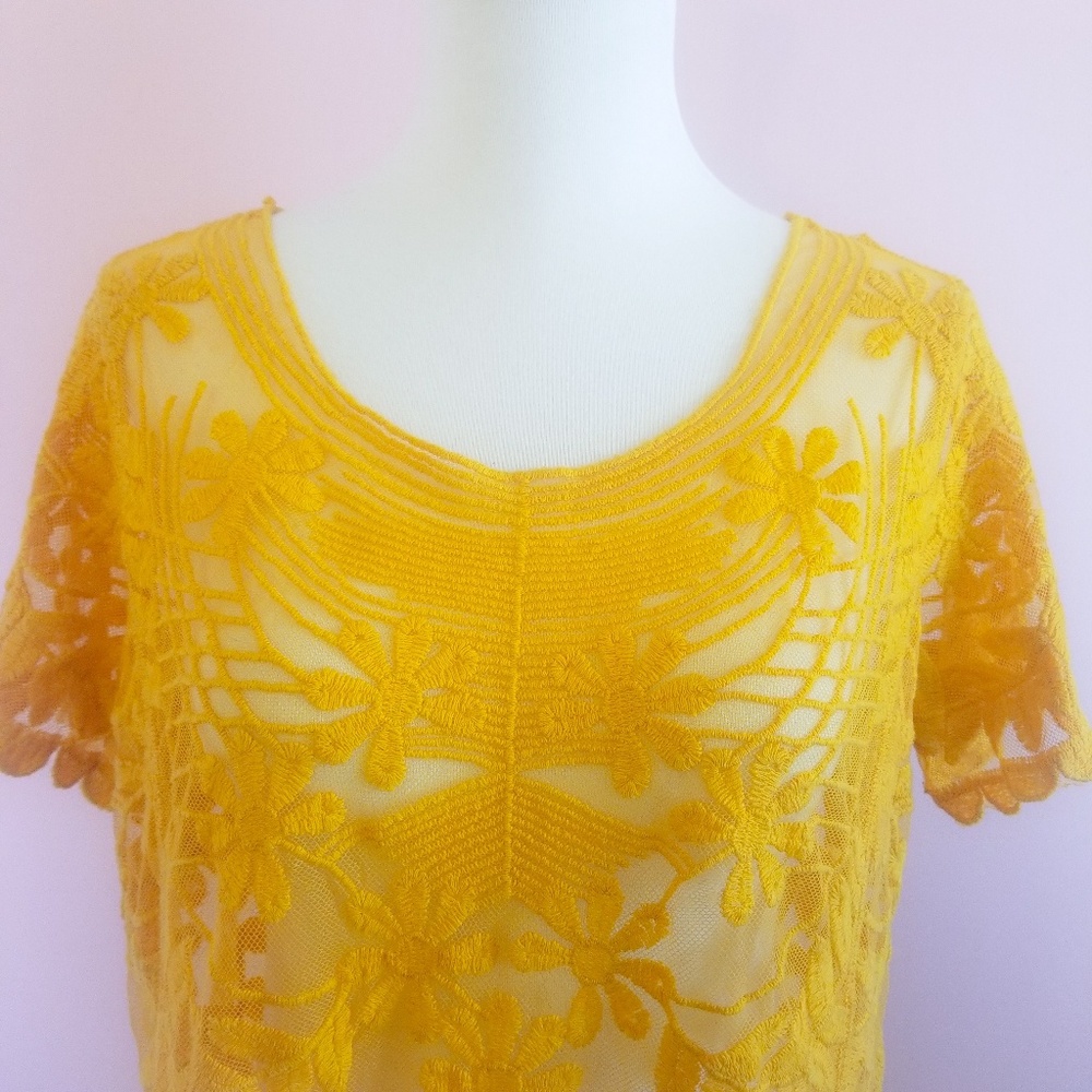 Knapp Studio Lace Top